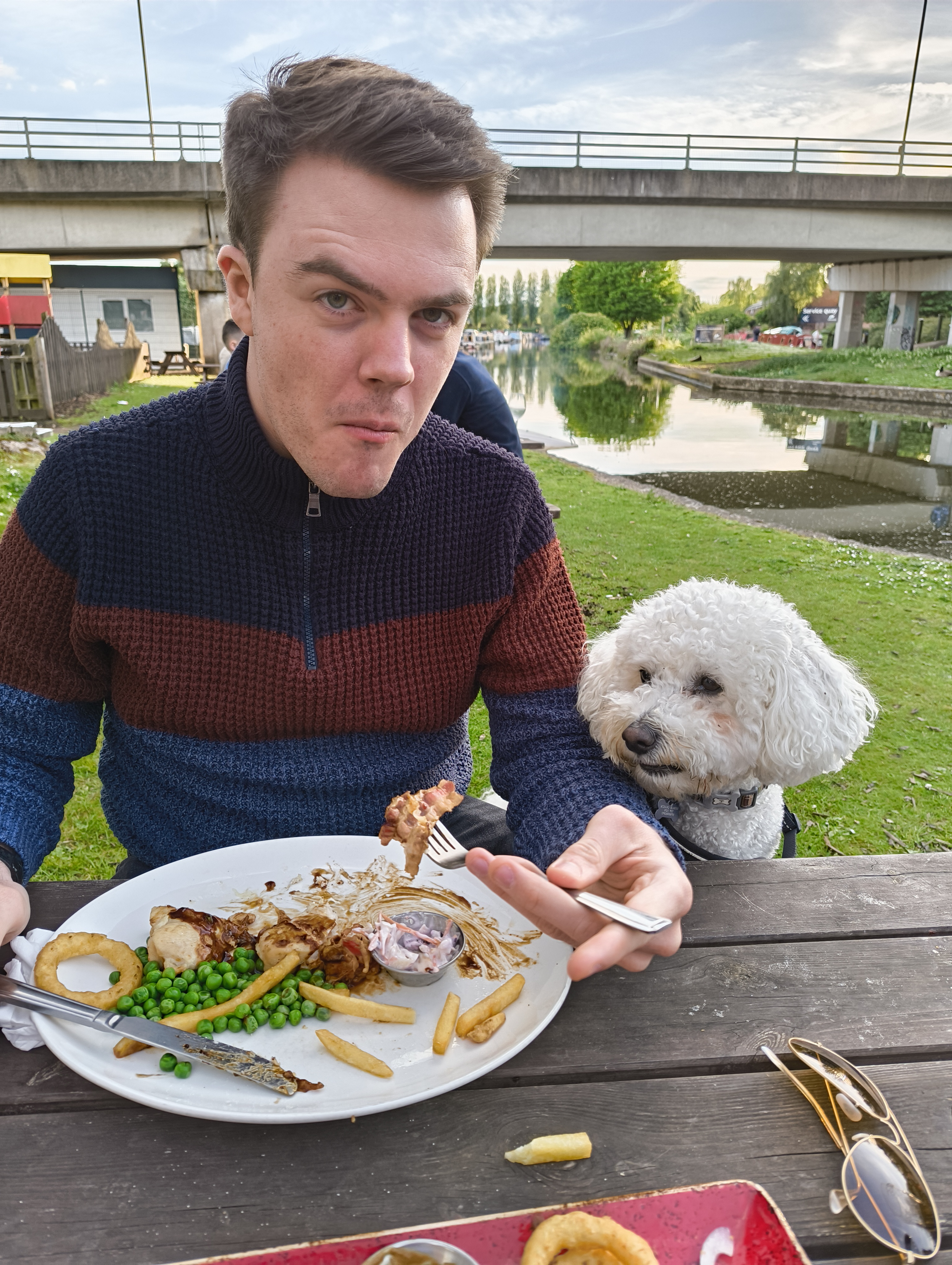 Adam eating a meal with Pip the dog cheekily hoping to get a bite of chicken