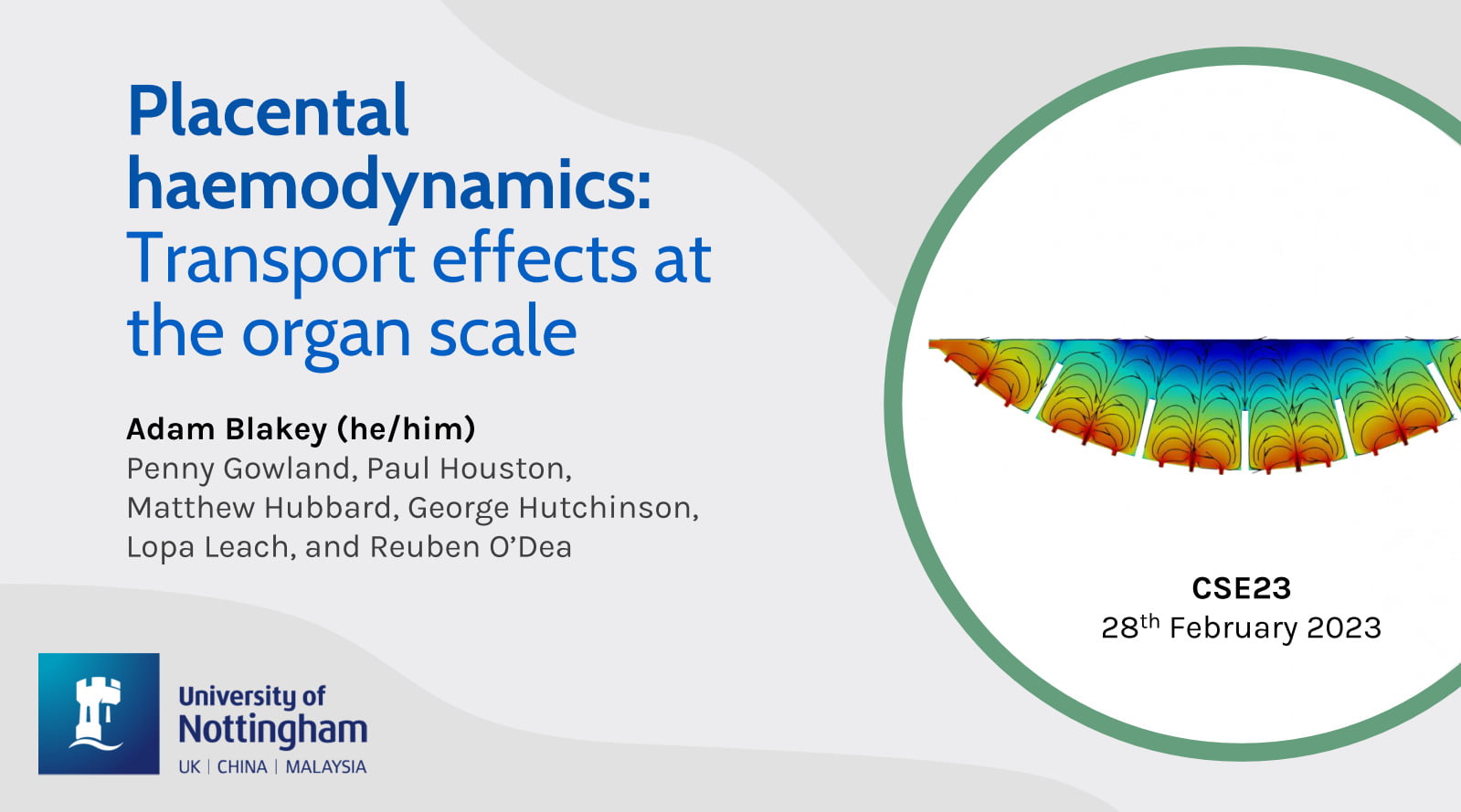 Placental Haemodynamics