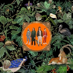 Album cover for Endorphins by DON BROCO